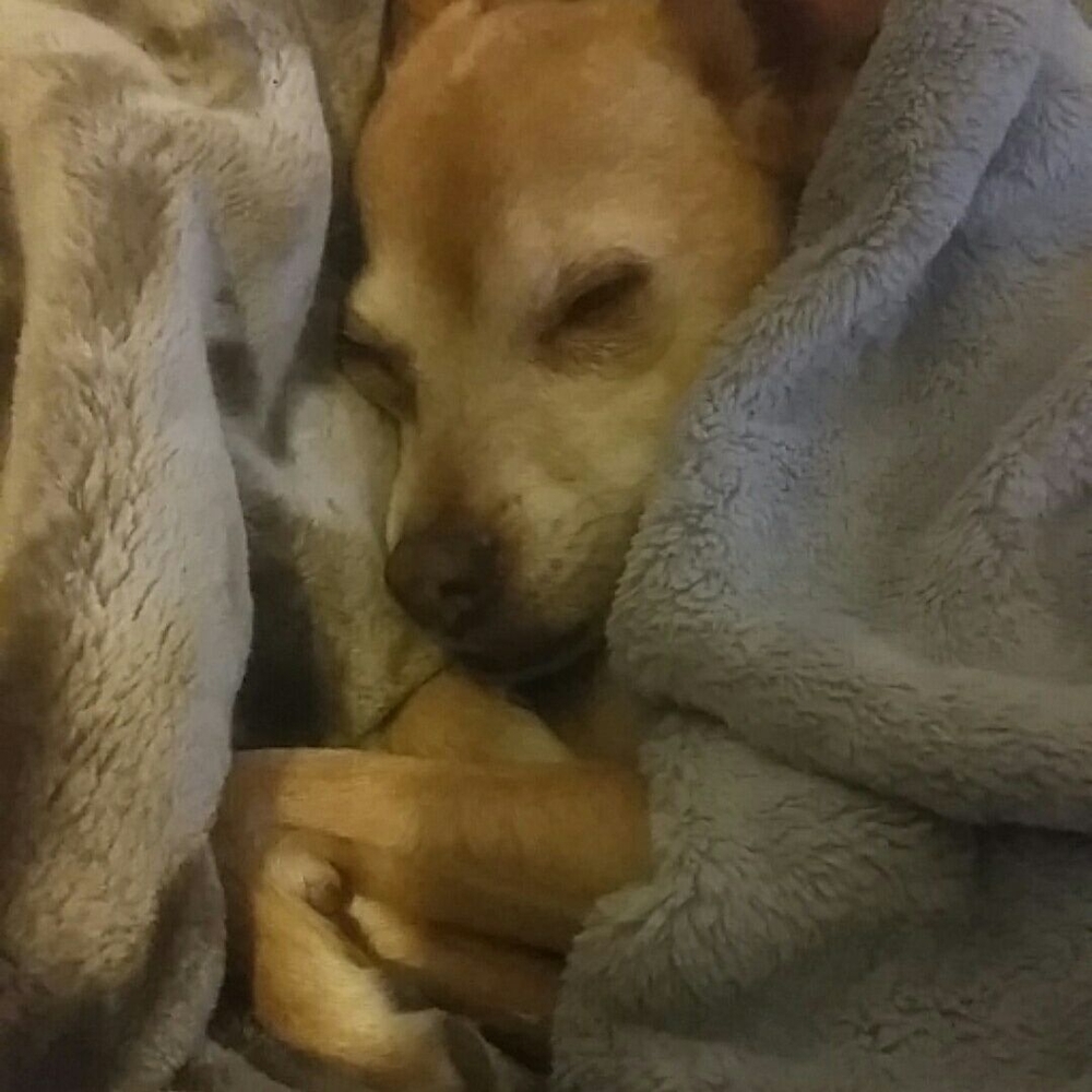 Meet your Posher, Brittney